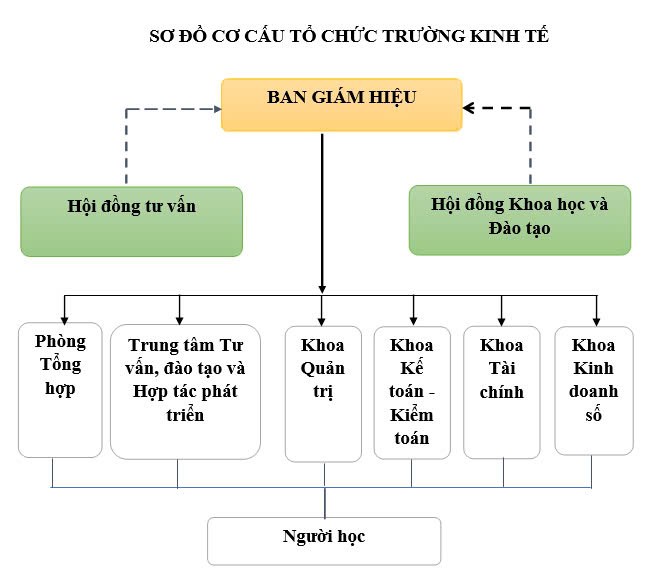 Sơ đồ cơ cấu tổ chức Trường Kinh tế