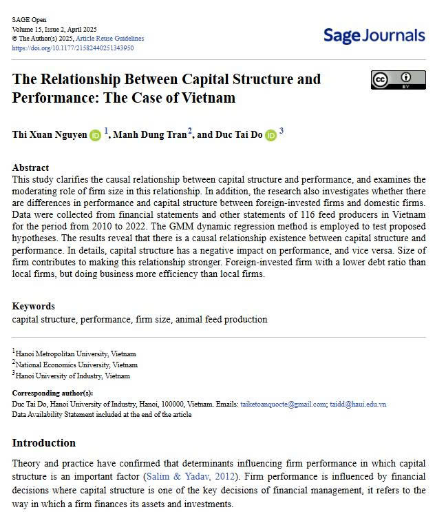 The Relationship Between Capital Structure and Performance: The Case of Vietnam