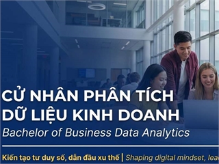 CỬ NHÂN PHÂN TÍCH DỮ LIỆU KINH DOANH