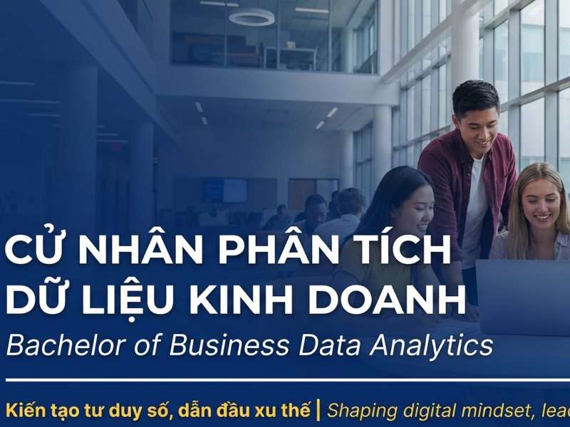 CỬ NHÂN PHÂN TÍCH DỮ LIỆU KINH DOANH