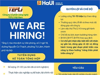 Công ty Cổ phần Công nghệ TEFLI Việt Nam tuyển dụng 02 kế toán tổng hợp